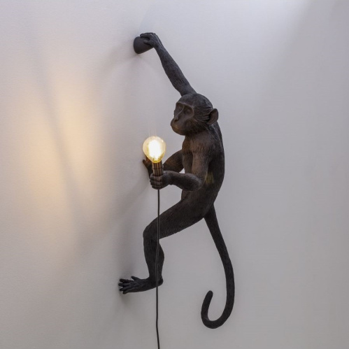 Фото №1 - Настенный светильник Monkey(2S143847)